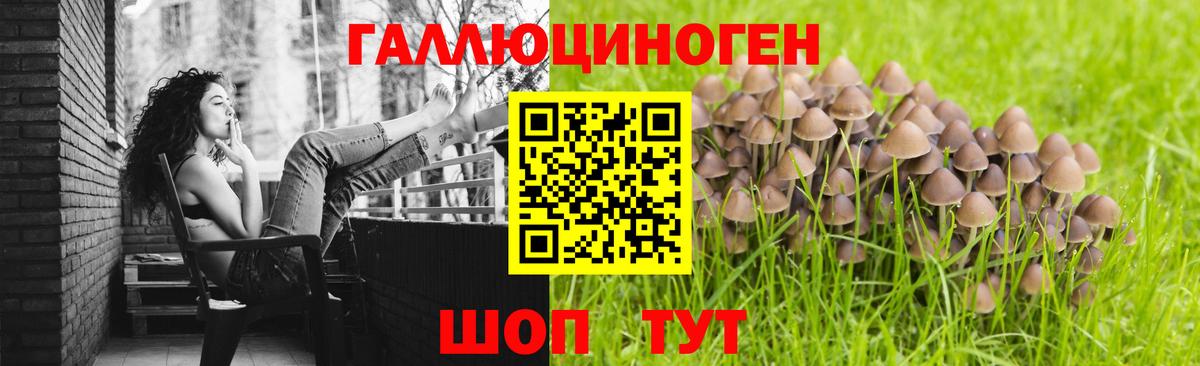 Галлюциногенные грибы GOLDEN TEACHER  Вход с VPN  Псилоцибиновые грибы Magic Shrooms  Чистополь 